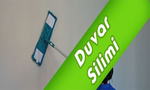 Duvar Silimi